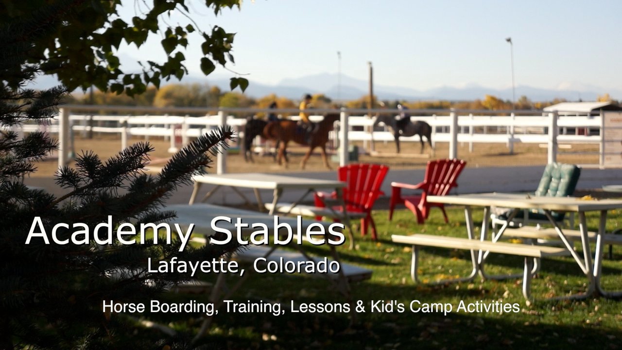 Academy Stables