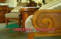 Tarzen-Tarsan Sales Promo v12