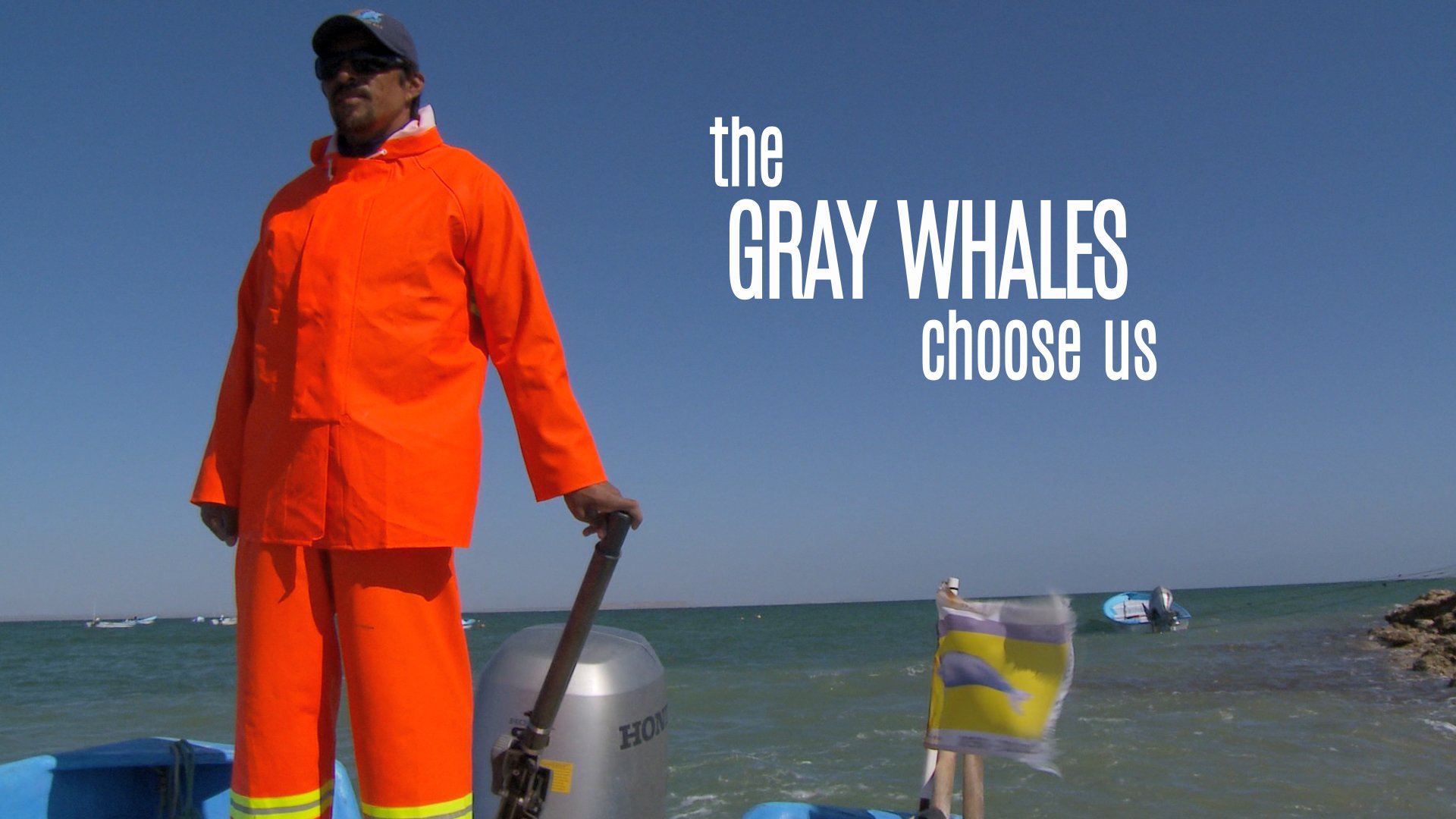 The Gray Whales Choose Us
