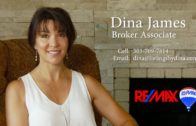 Dina James Realtor Introduction